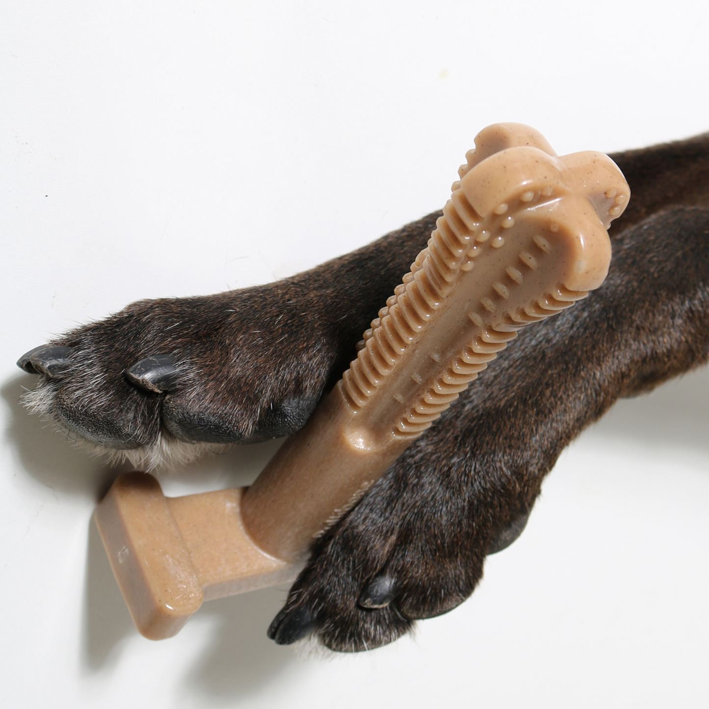 dog toy that cleans teeth
