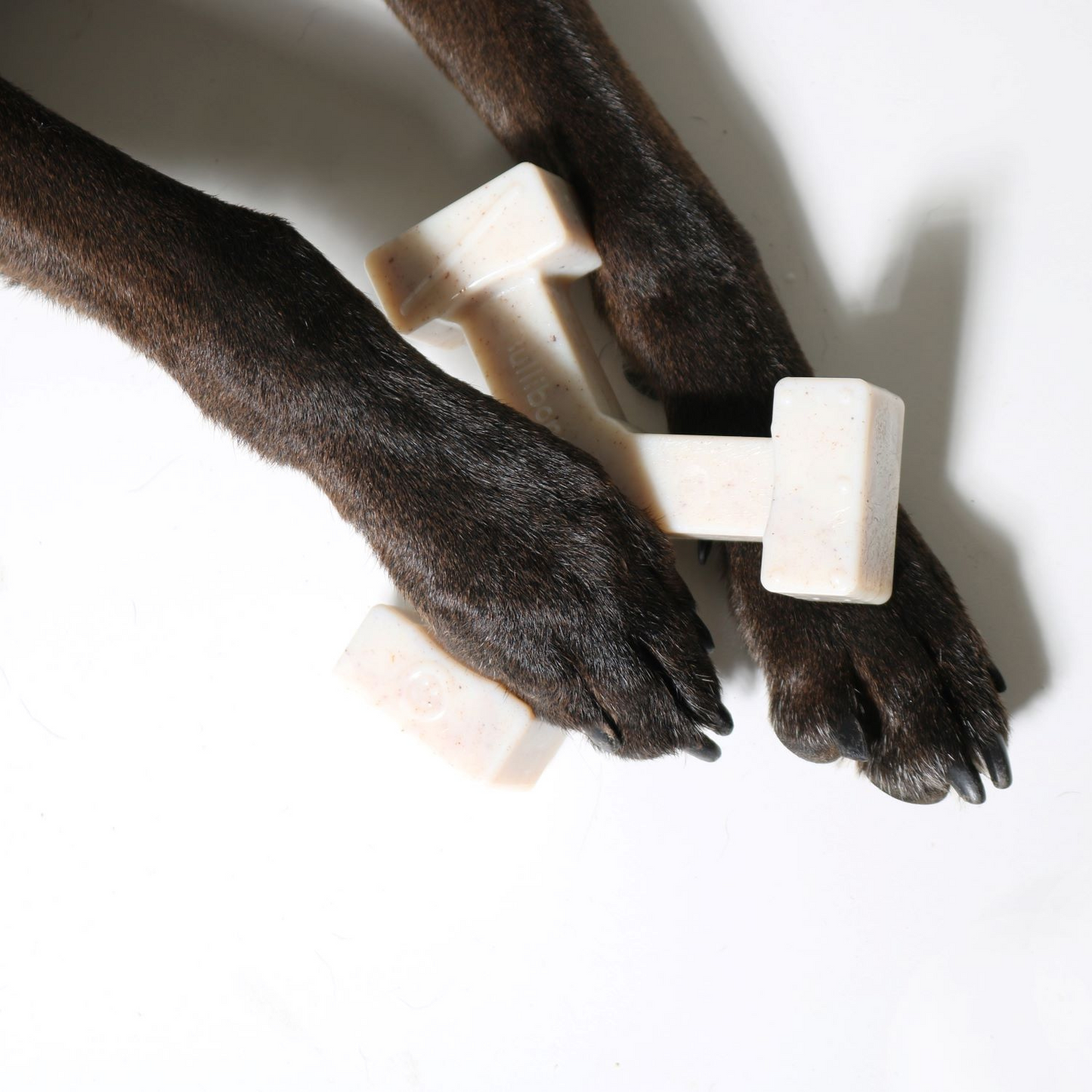 Box of dog bones