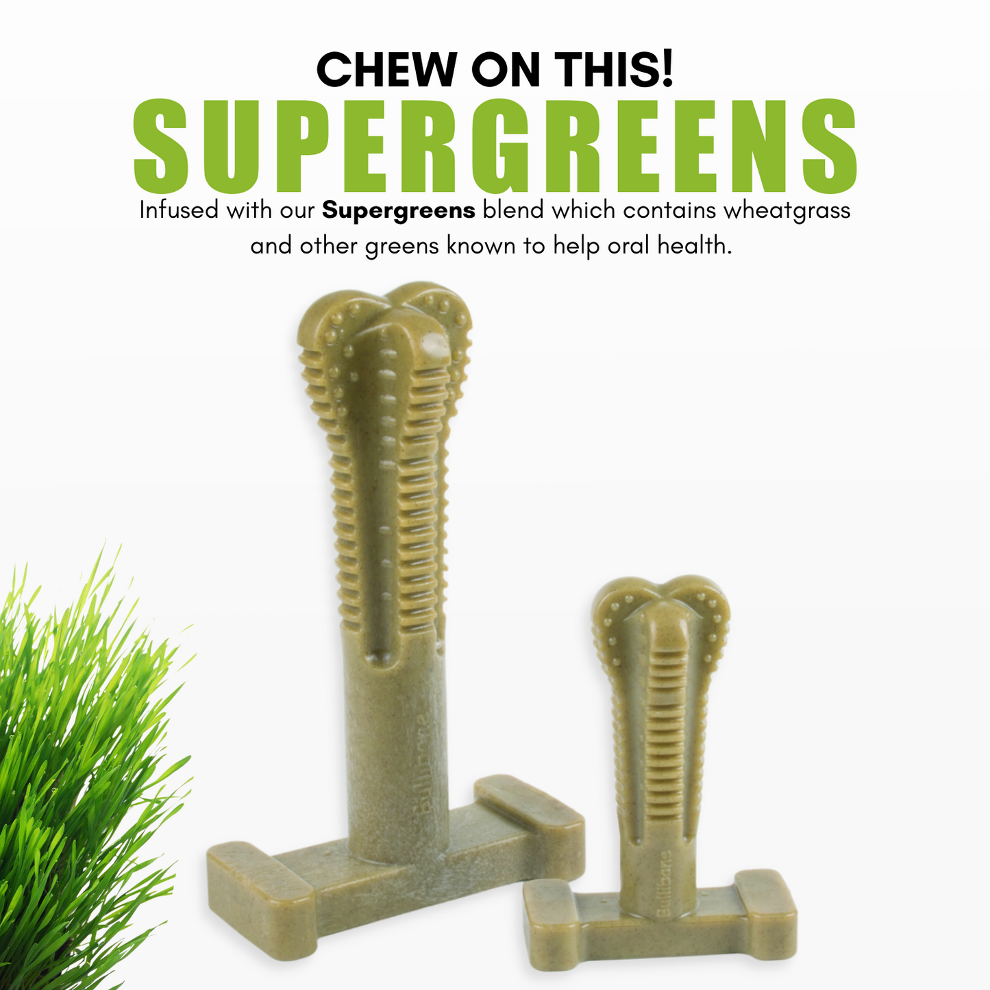 dog teeth cleaning bones