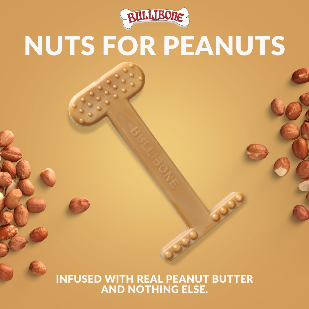 dog bones with peanut butter