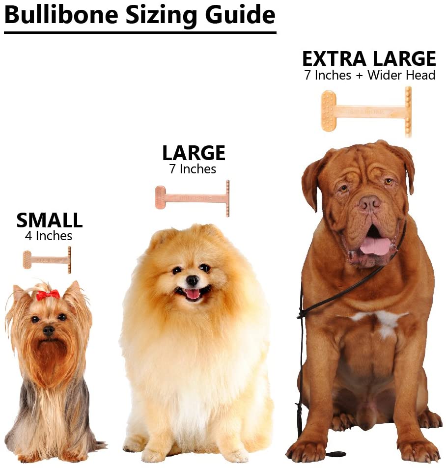 flat dog bones