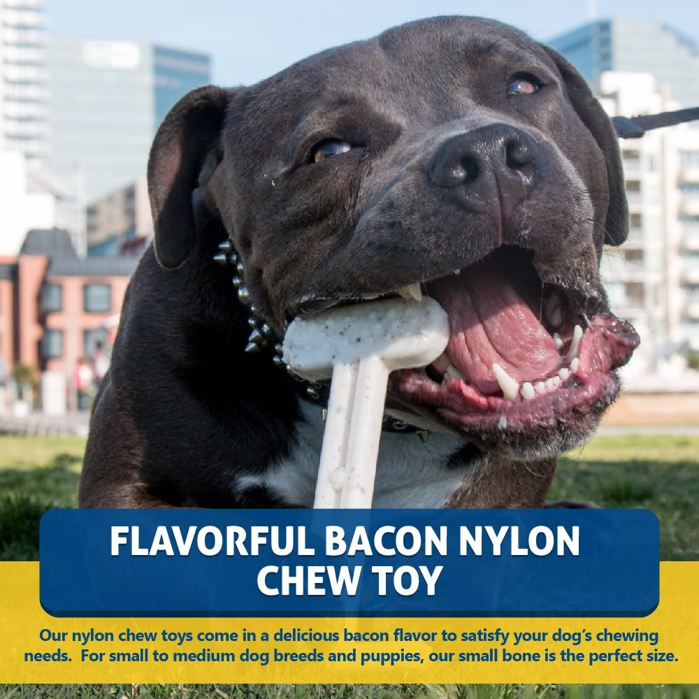 bacon flavored dog chew toys