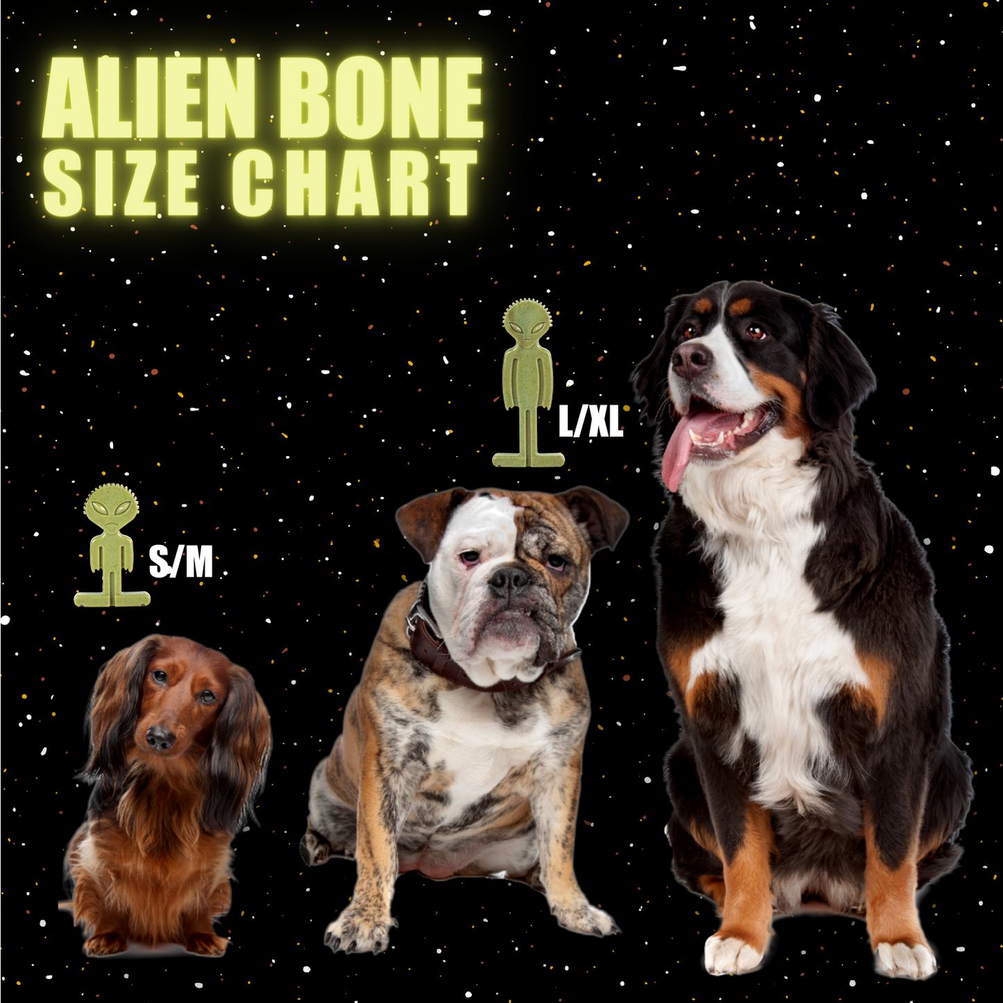 green chew bone for dogs