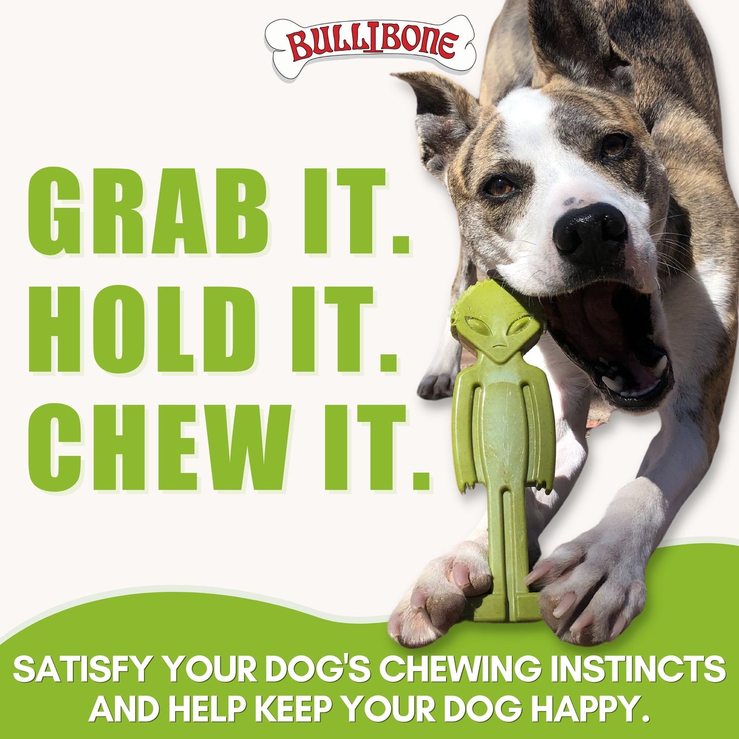 green chew bone for dogs