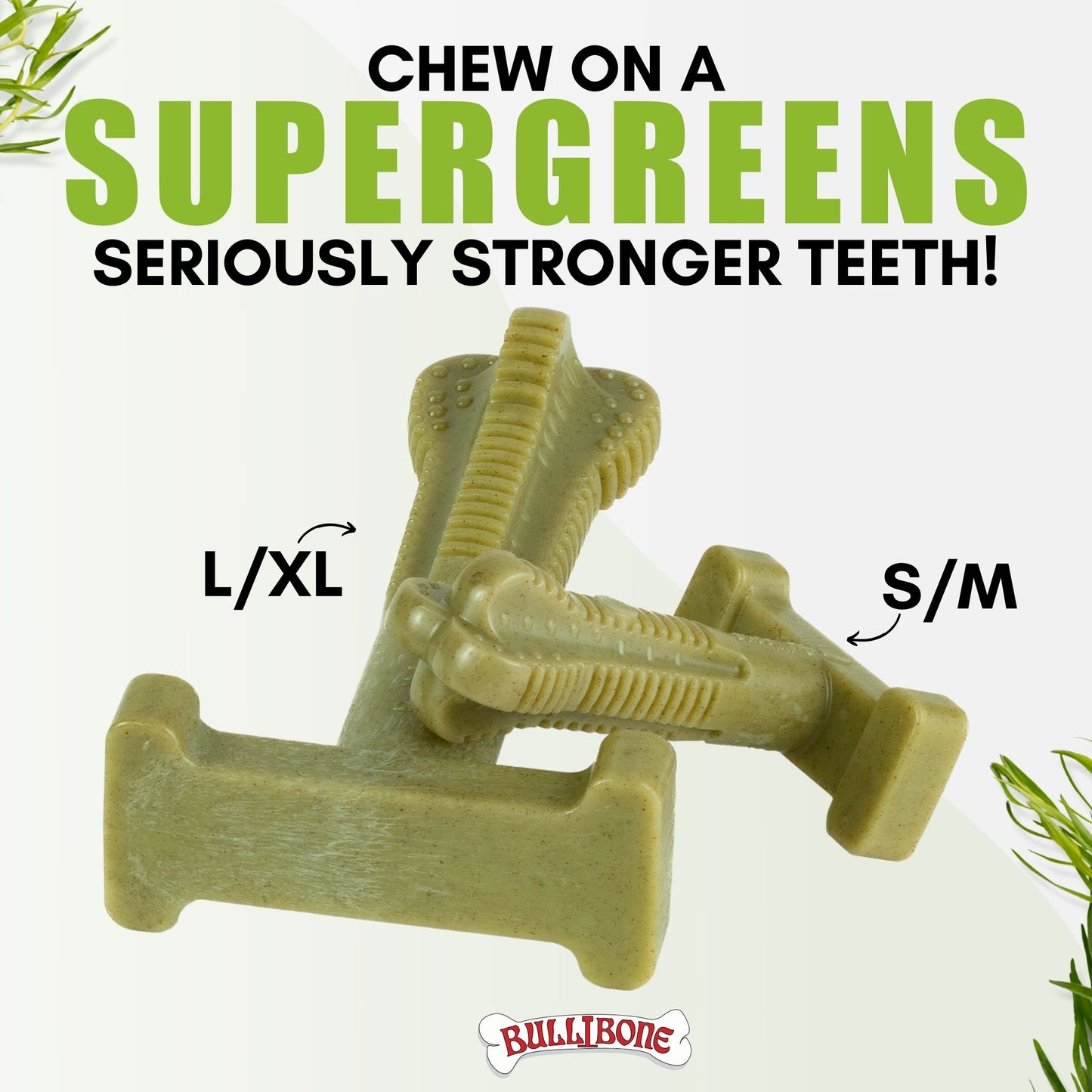 dog teeth cleaning bones