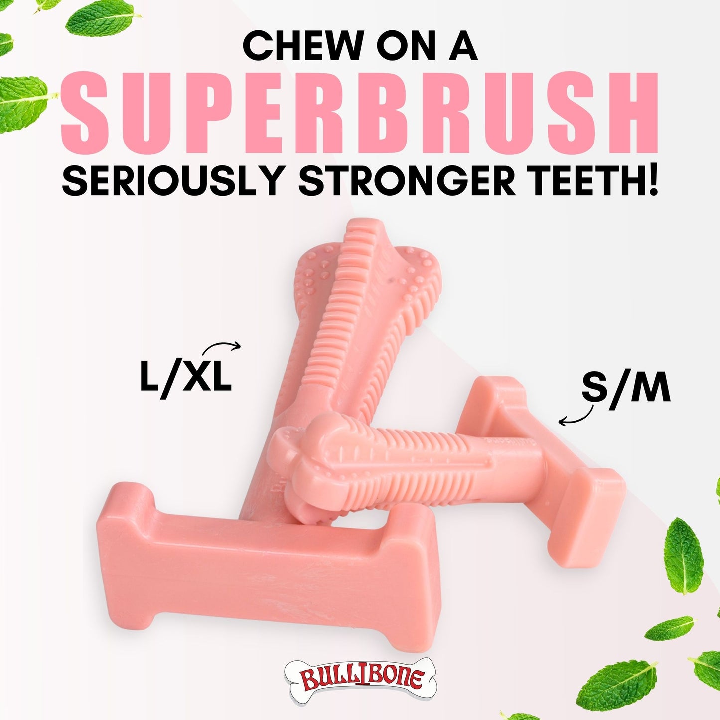dog toothbrush toy