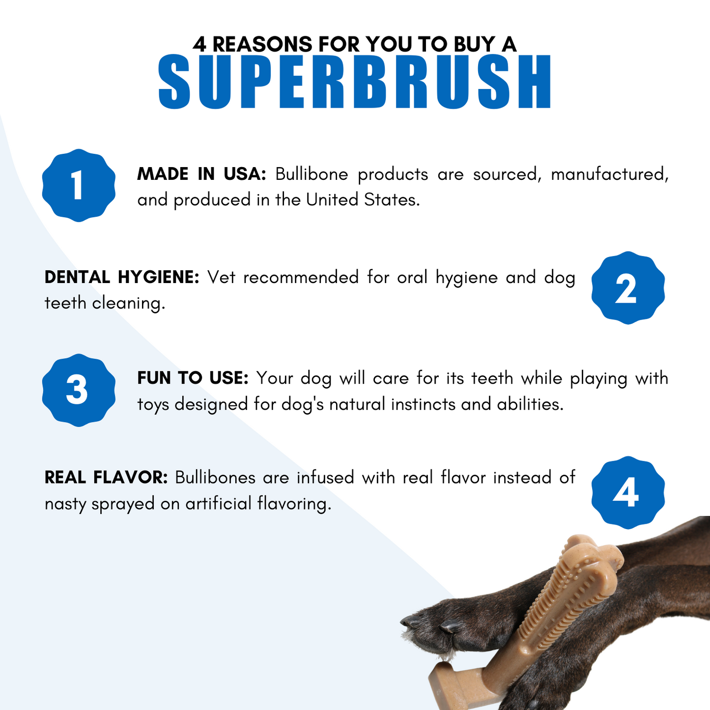 dog teeth cleaning bones