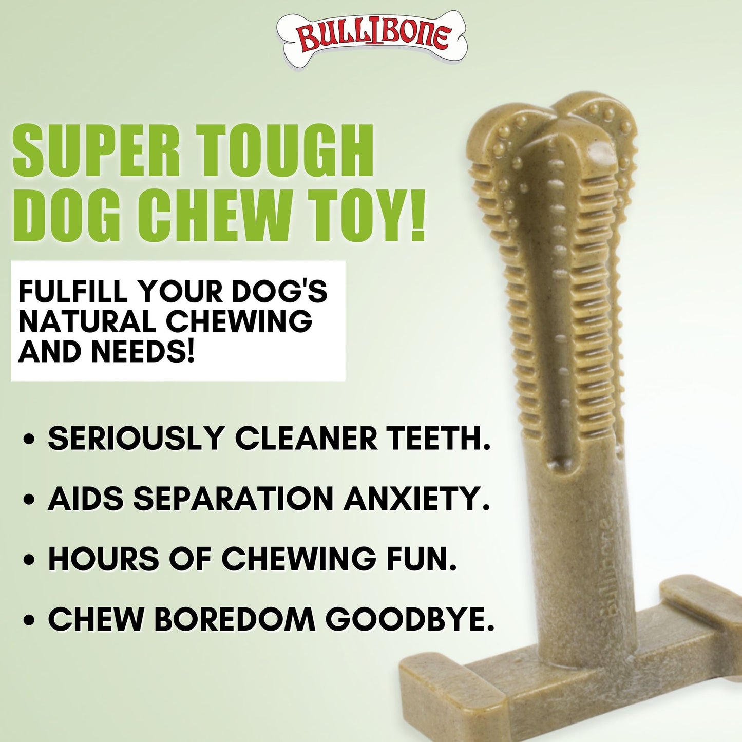 dog teeth cleaning bones