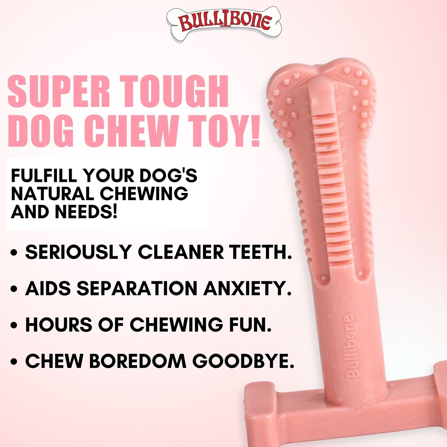 dog toothbrush toy