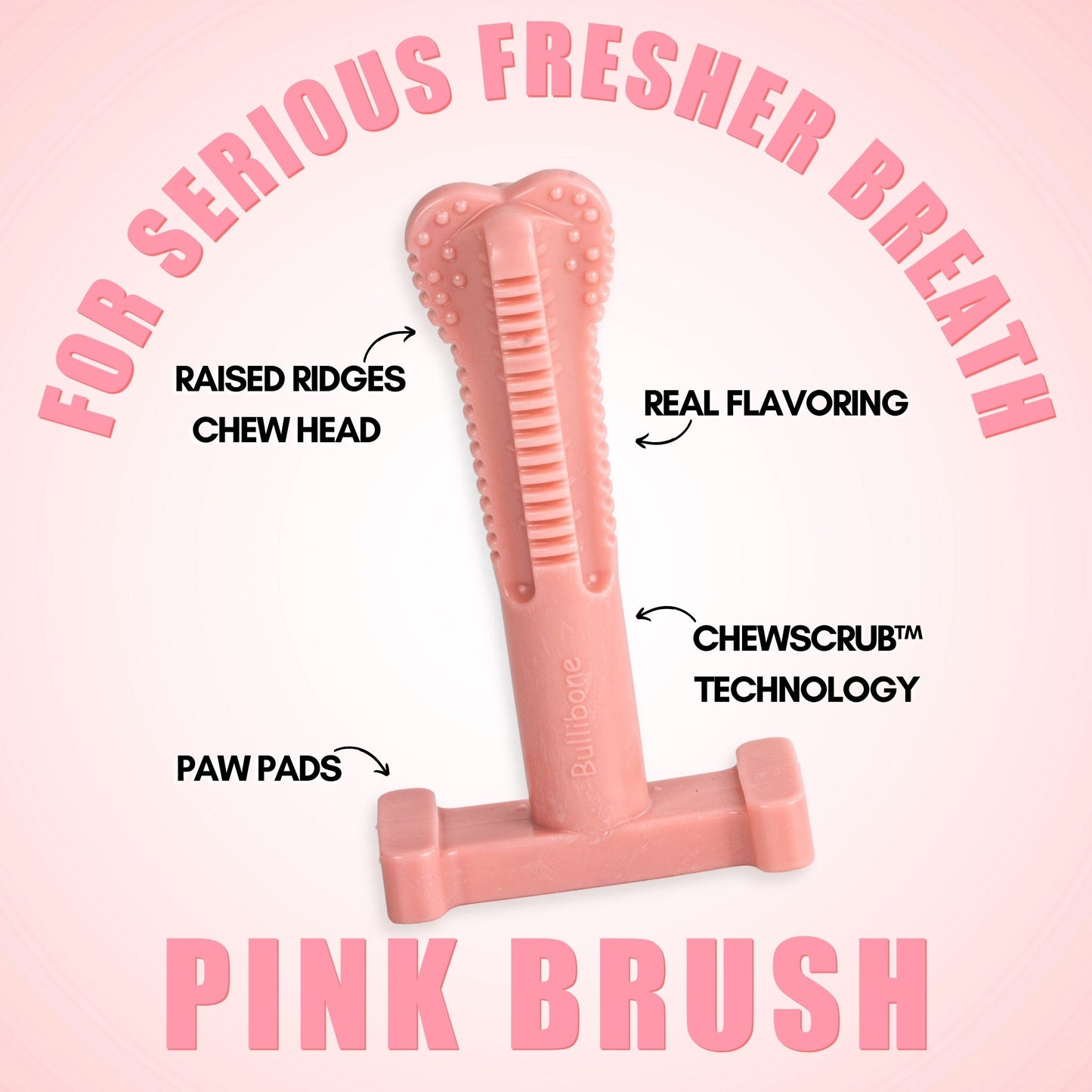 dog toothbrush toy
