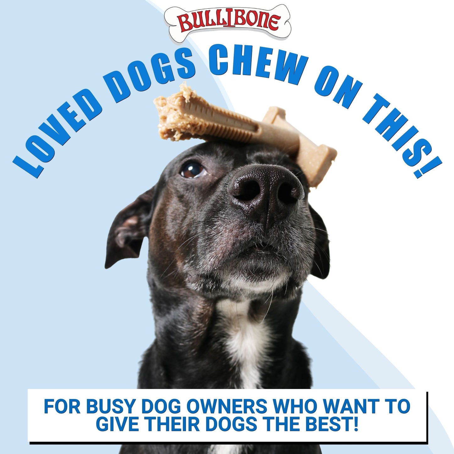 dog teeth cleaning bones