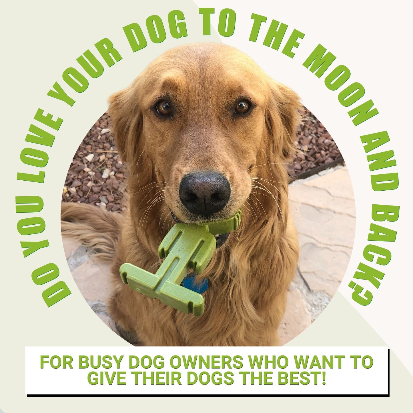 Large Dog 5 Pack Bundle