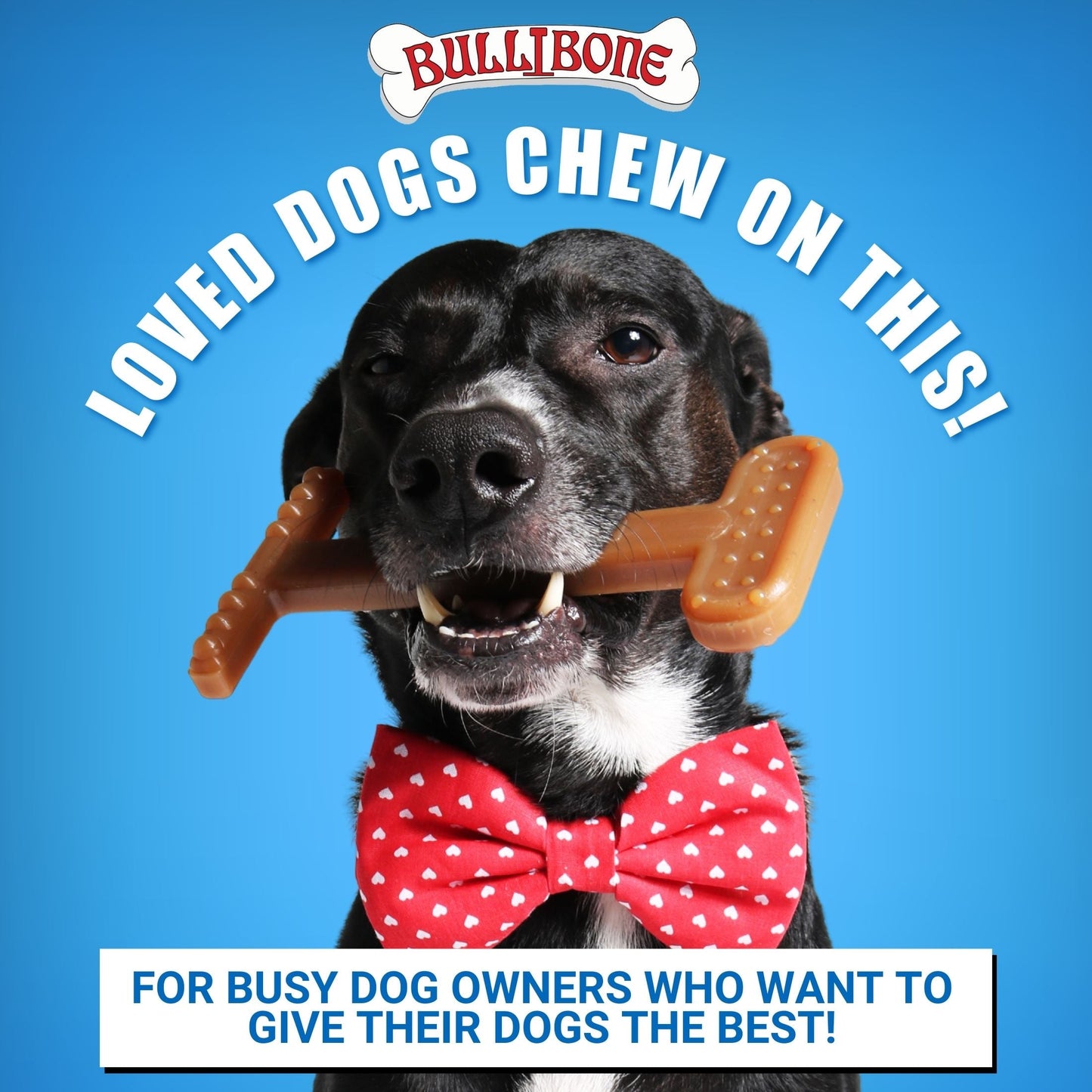 Large Dog 5 Pack Bundle