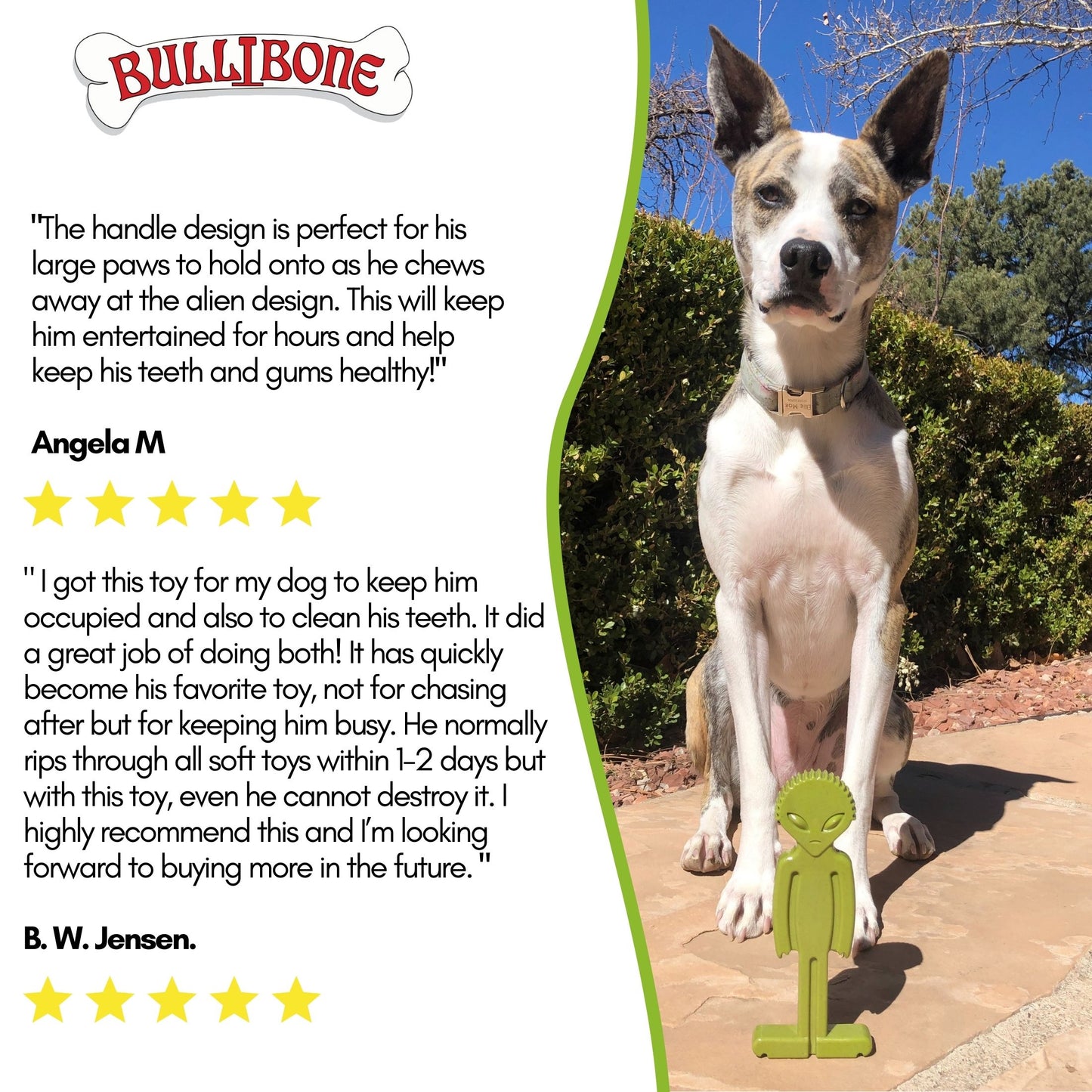 green chew bone for dogs