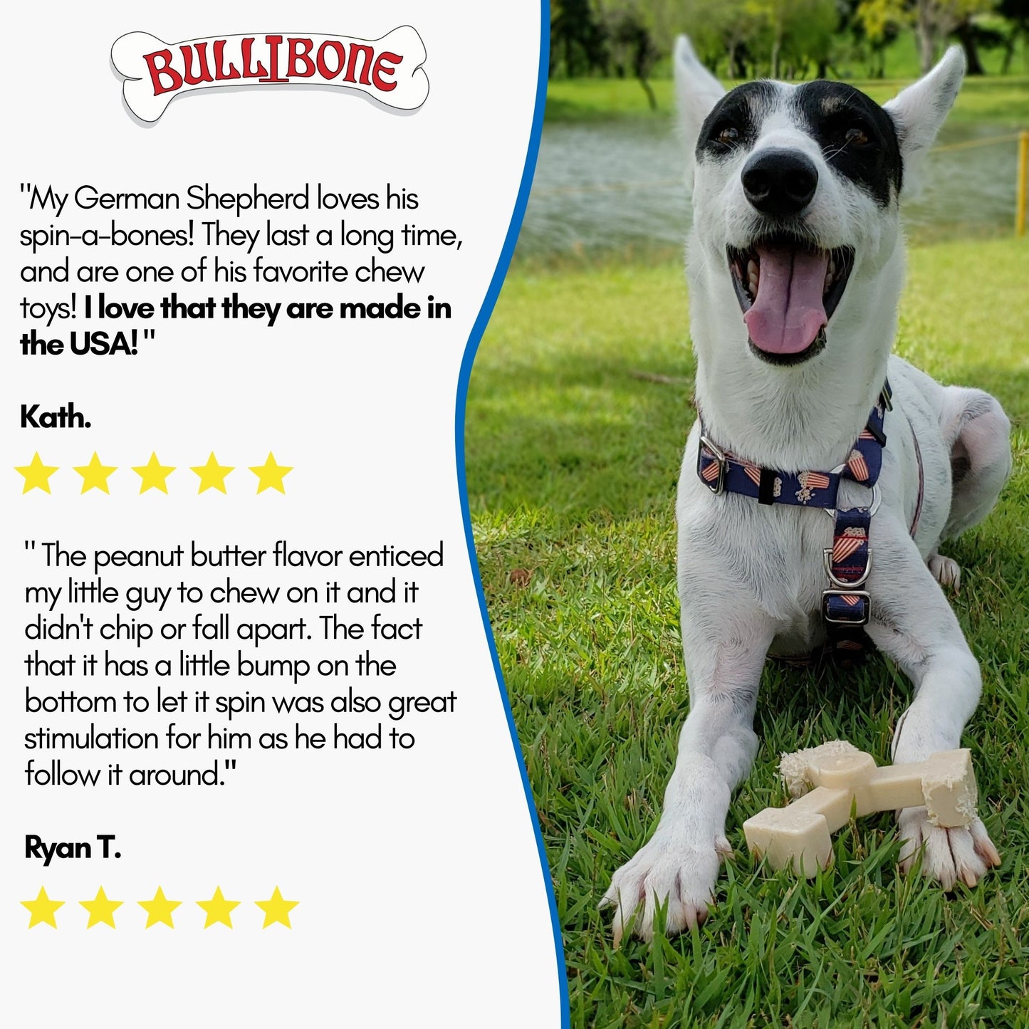 boredom buster dog toys