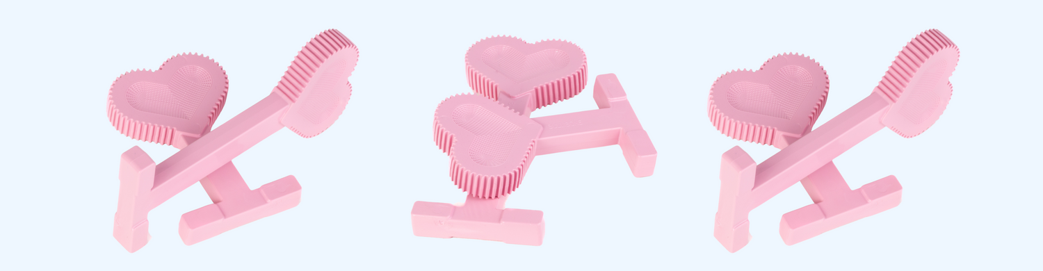 HEART SHAPED DOG BONES