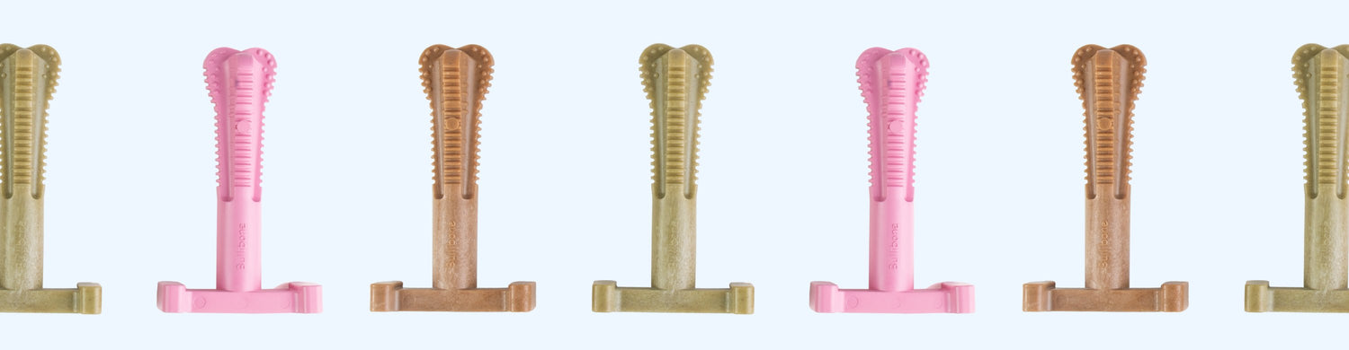 SUPERBRUSH - DENTAL BONES FOR DOGS