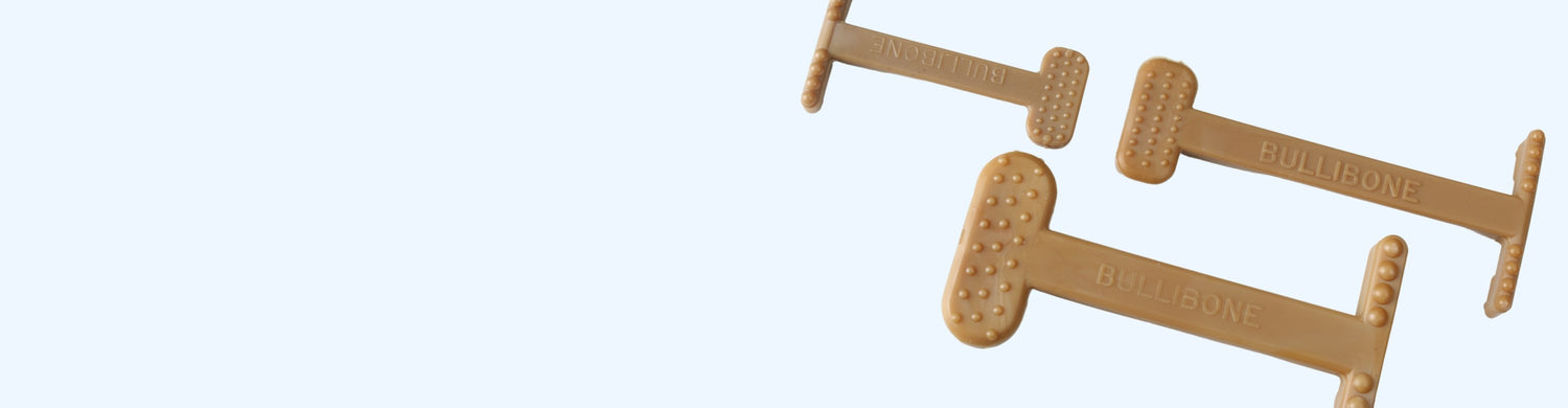 BULLIBONE - FLAVORED DOG TOYS