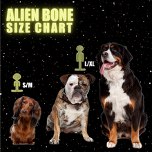Load image into Gallery viewer, alien dog toy
