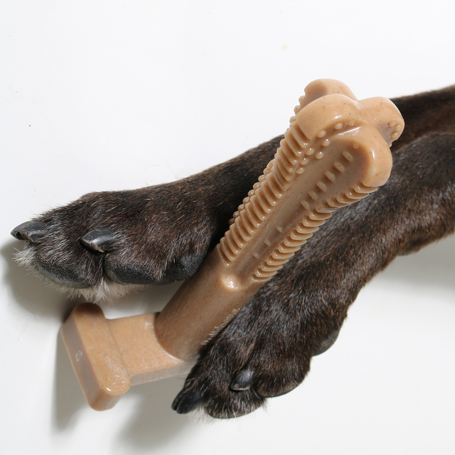 dog toy that cleans teeth