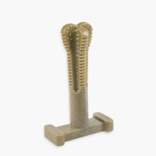 brush bone for dogs