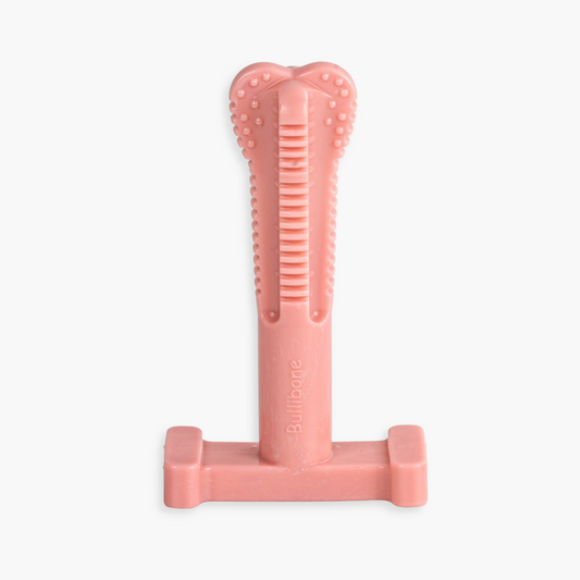 peppermint dog toy