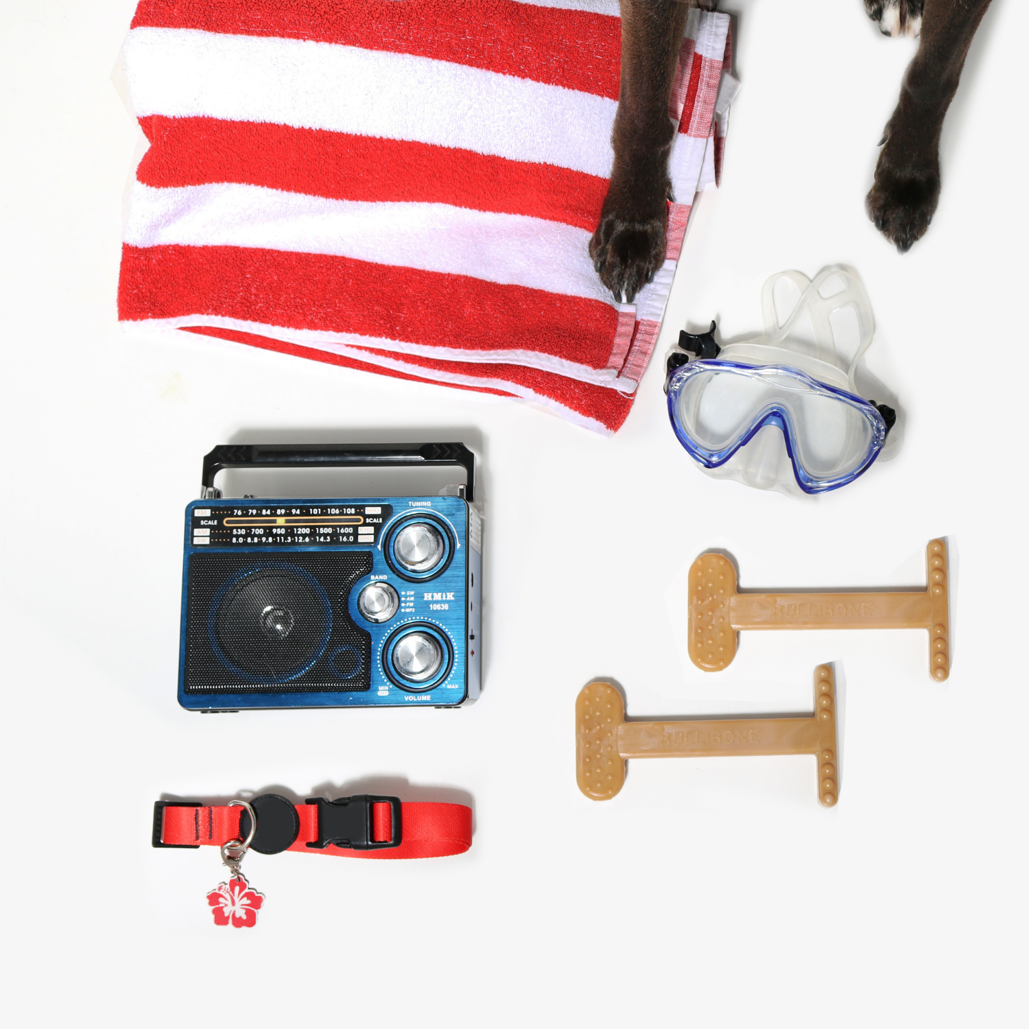 modern dog toys