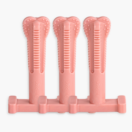 dog breath chew toys
