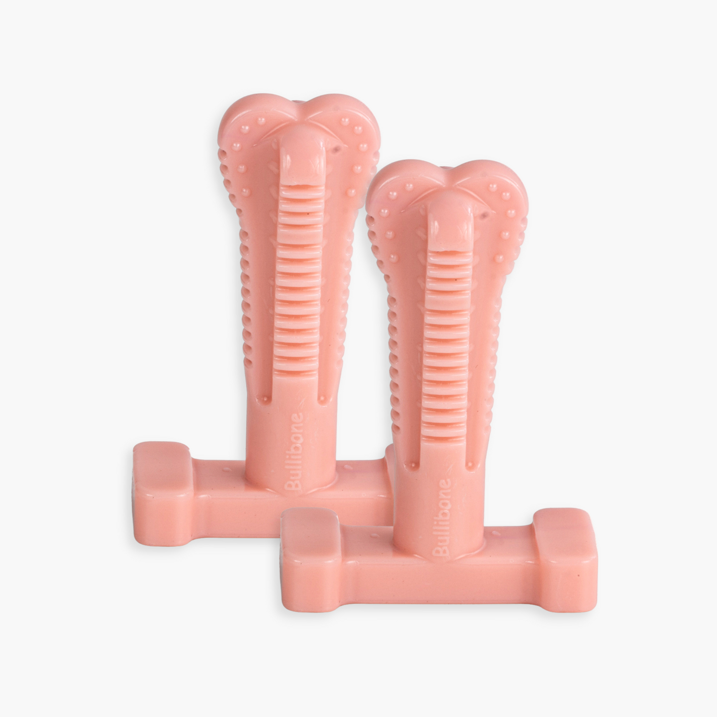 dog toothbrush toy