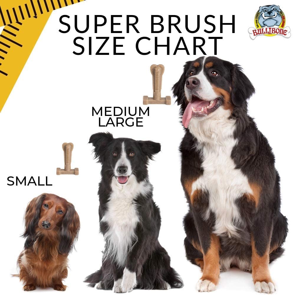 dog toothbrush toy