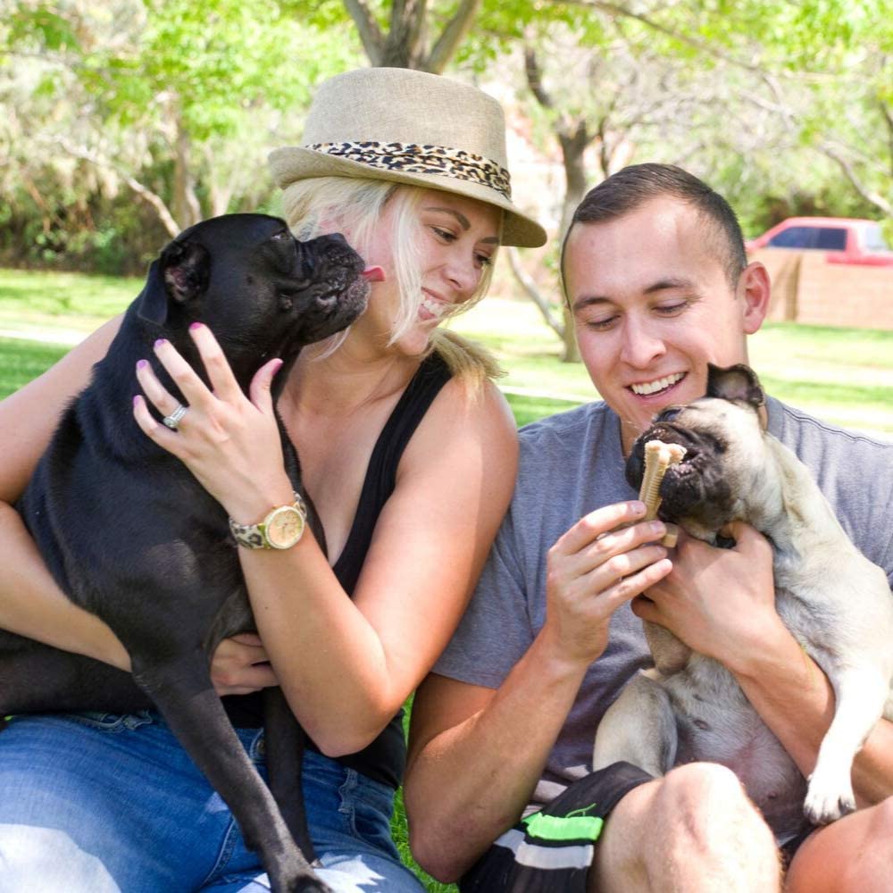 dog bones for bad breath