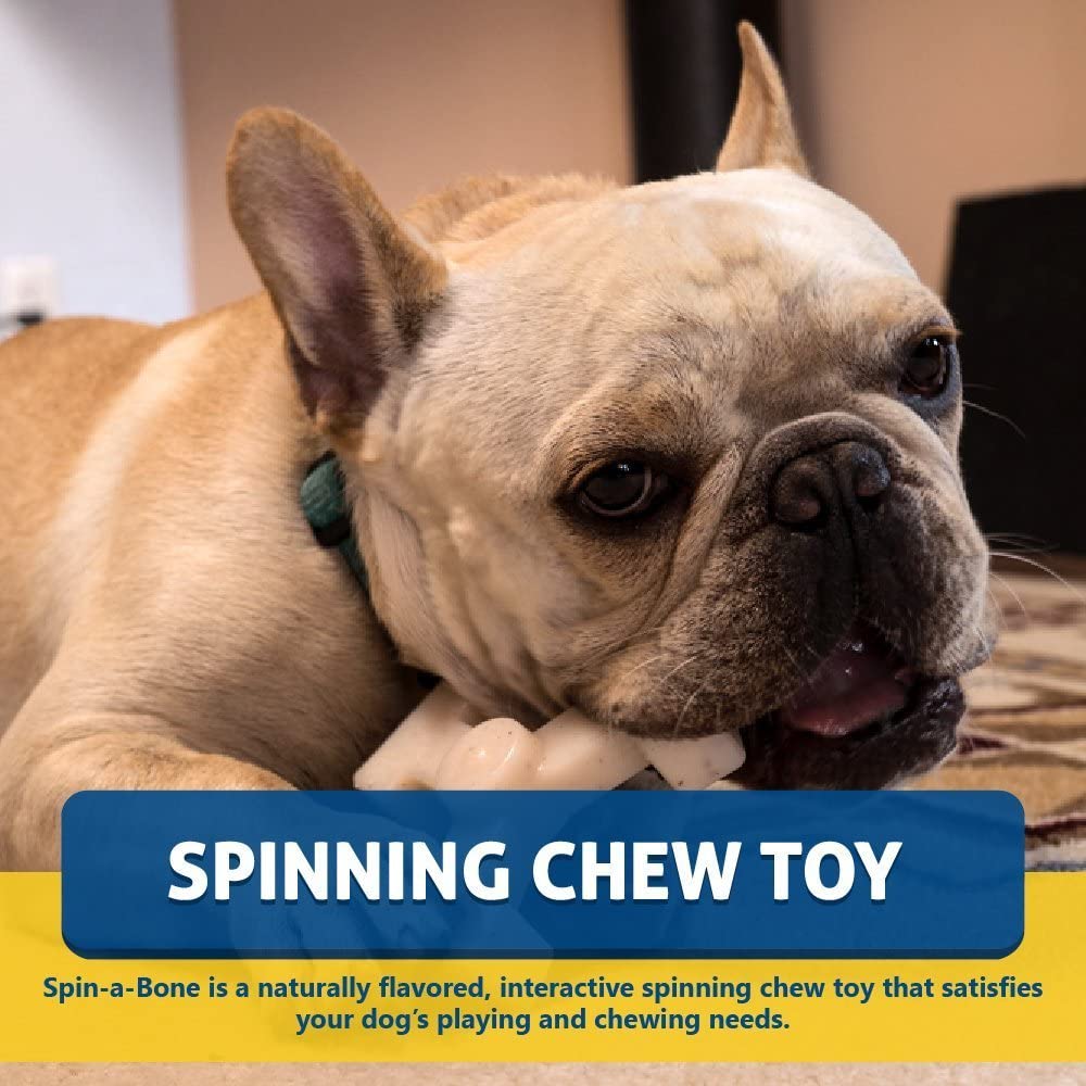 self play dog toys