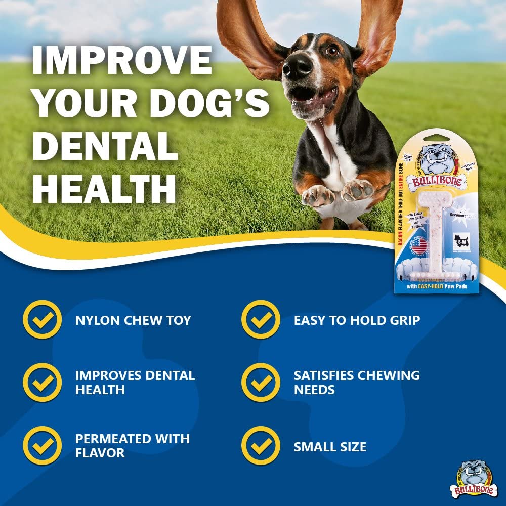 modern dog toys