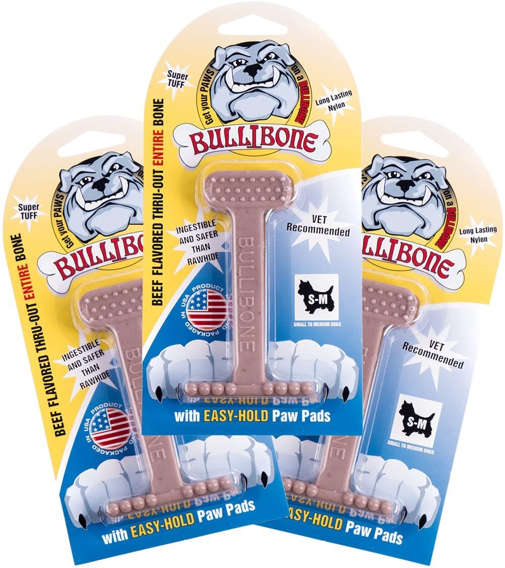 modern dog toys