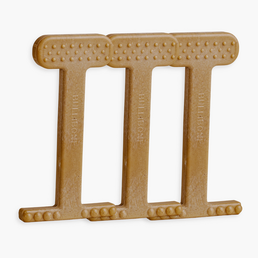 modern dog toys