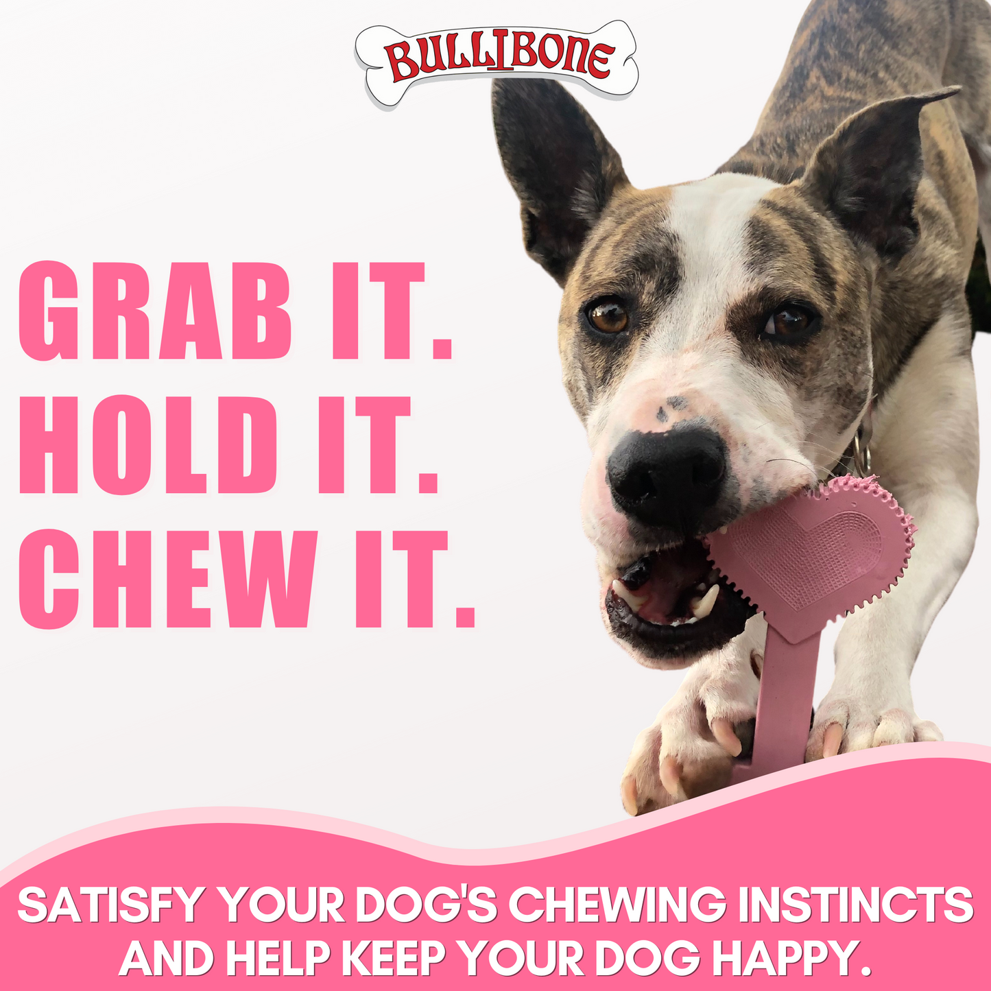 pink dog toys