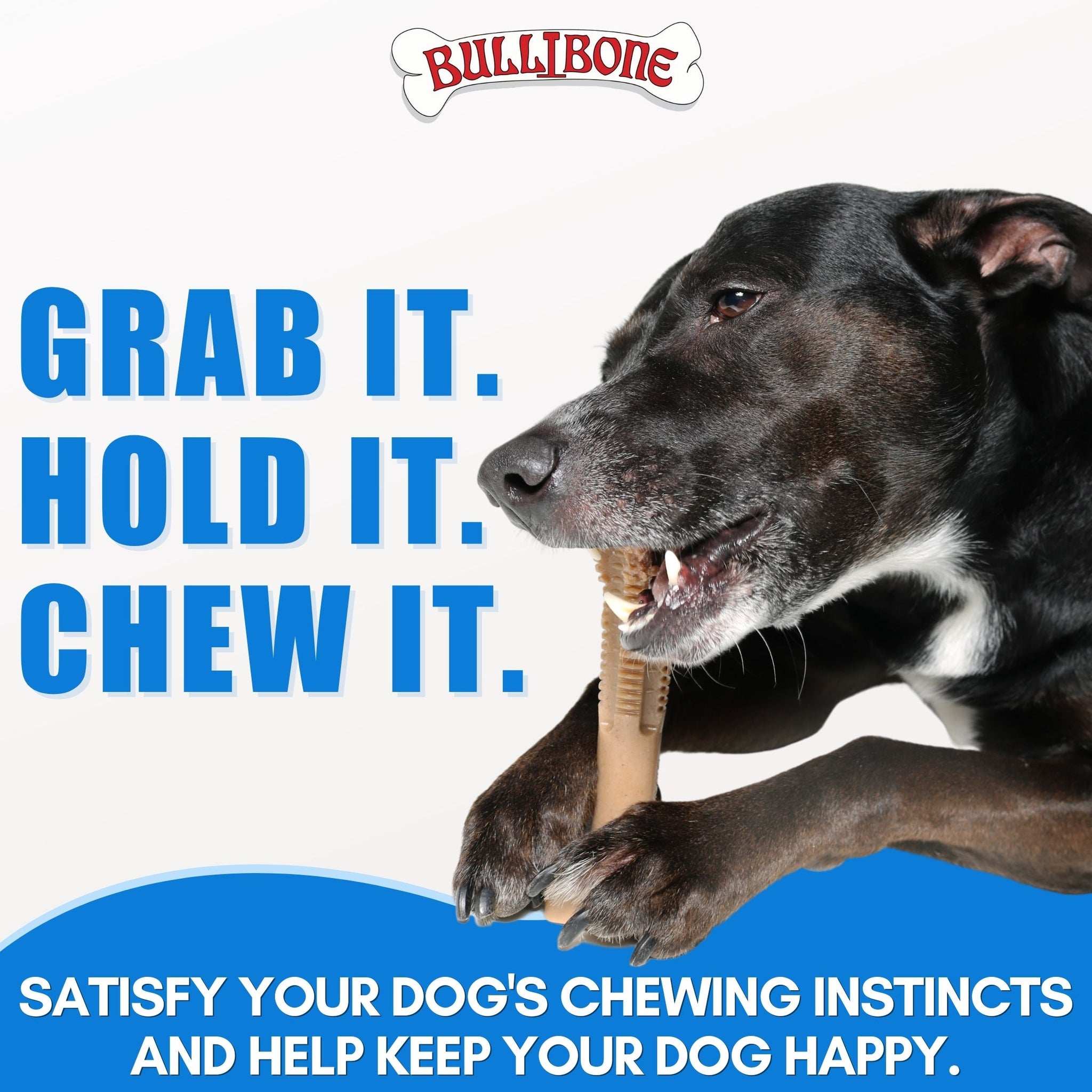 SuperBrush Dog Bones For Bad Breath shopbullibone