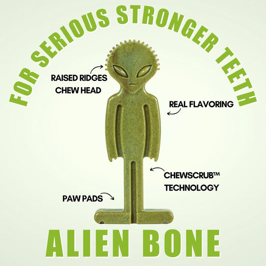 green chew bone for dogs