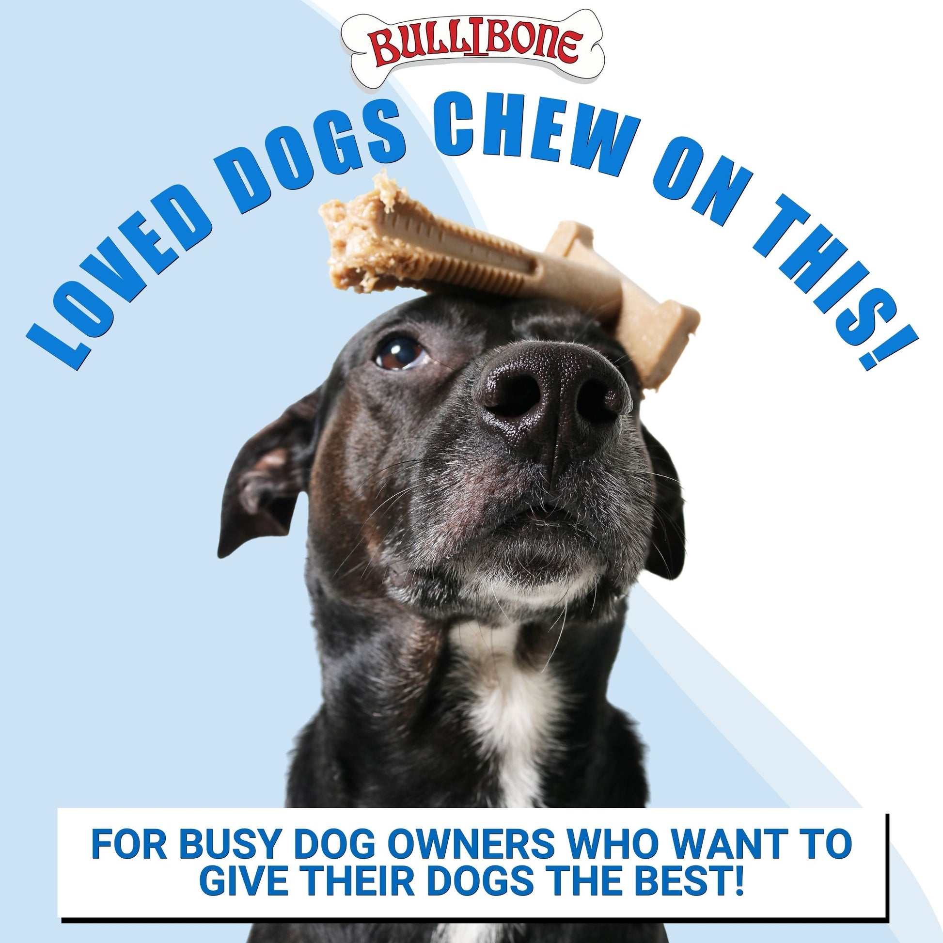 dog teeth cleaning bones