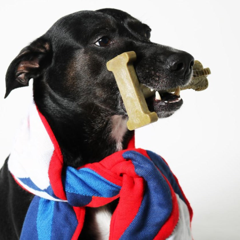 dog bones for bad breath