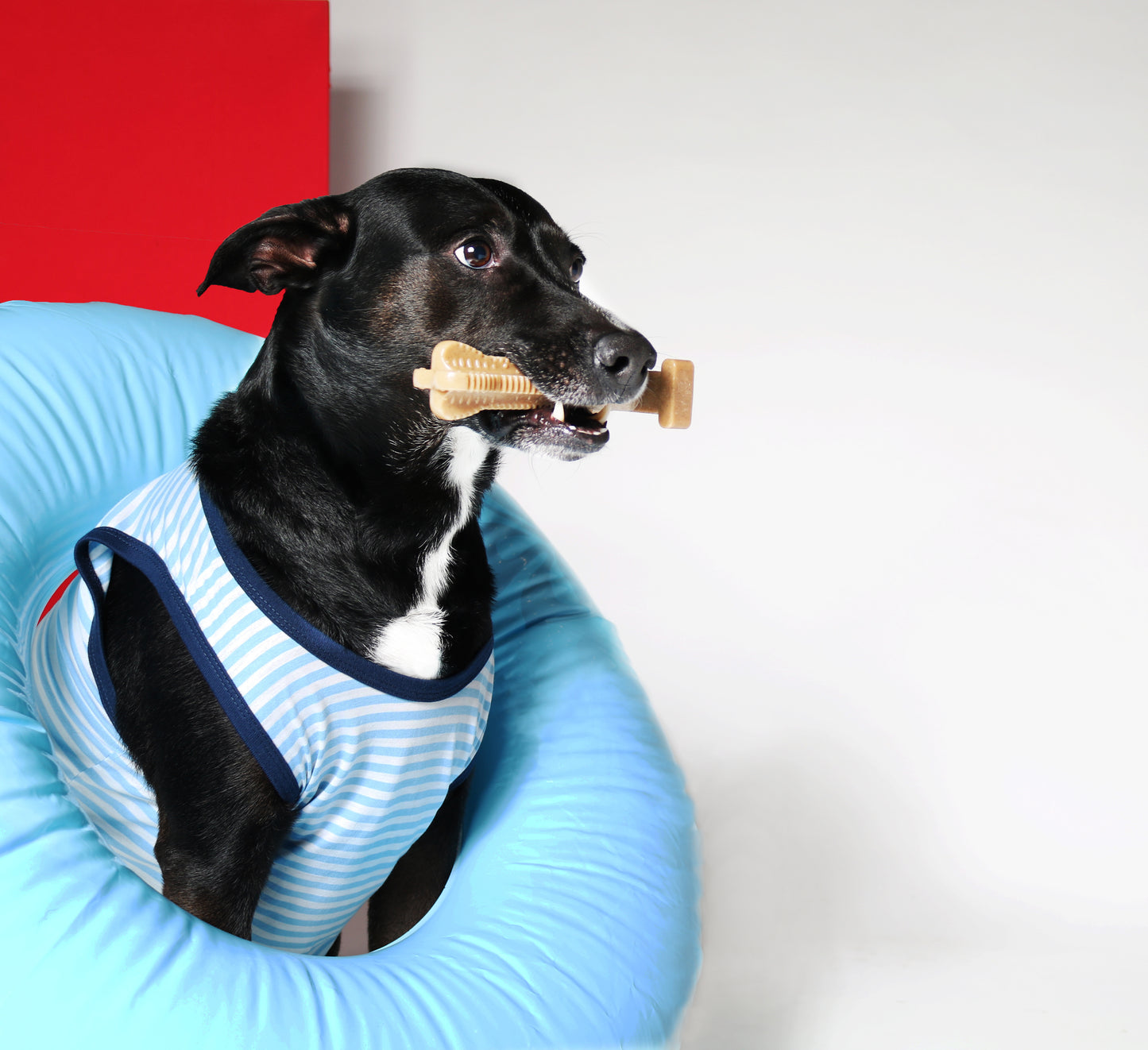 Bones for extreme chewers