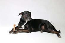 Load image into Gallery viewer, healthy dog bones
