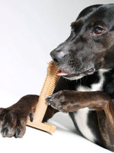 Load image into Gallery viewer, healthy dog bones
